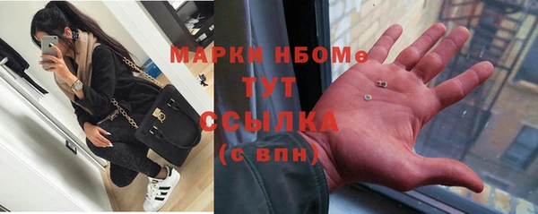 гидра Абаза