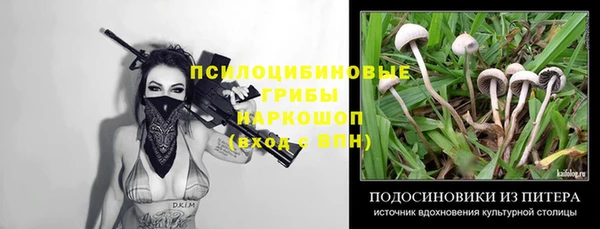 гидропоника Абинск