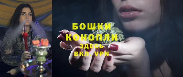 гидра Абаза
