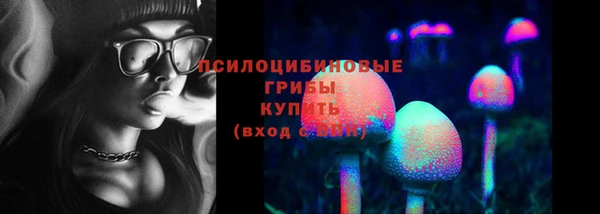 гидра Абаза