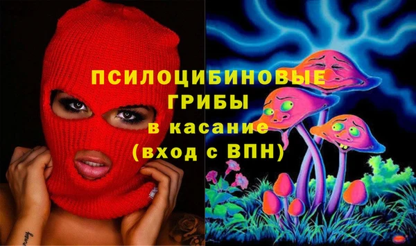 гидра Абаза