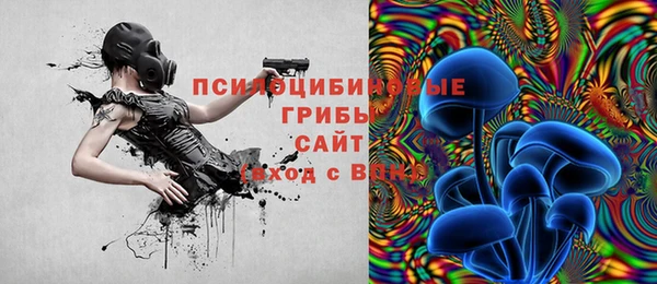 гидропоника Абинск