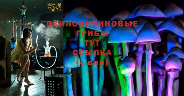 гидра Абаза