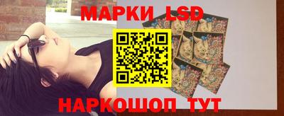 гидропоника Ставрополь