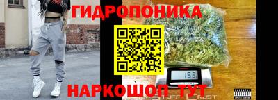 гидропоника Ставрополь