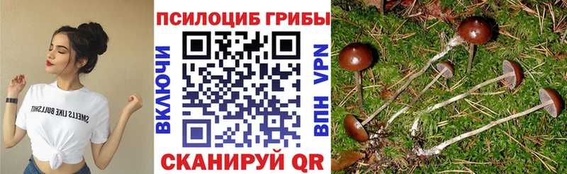 Галлюциногенные грибы мицелий  Прокопьевск 