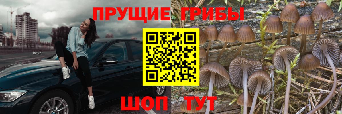 Галлюциногенные грибы Magic Shrooms  Вход с VPN  Прокопьевск 